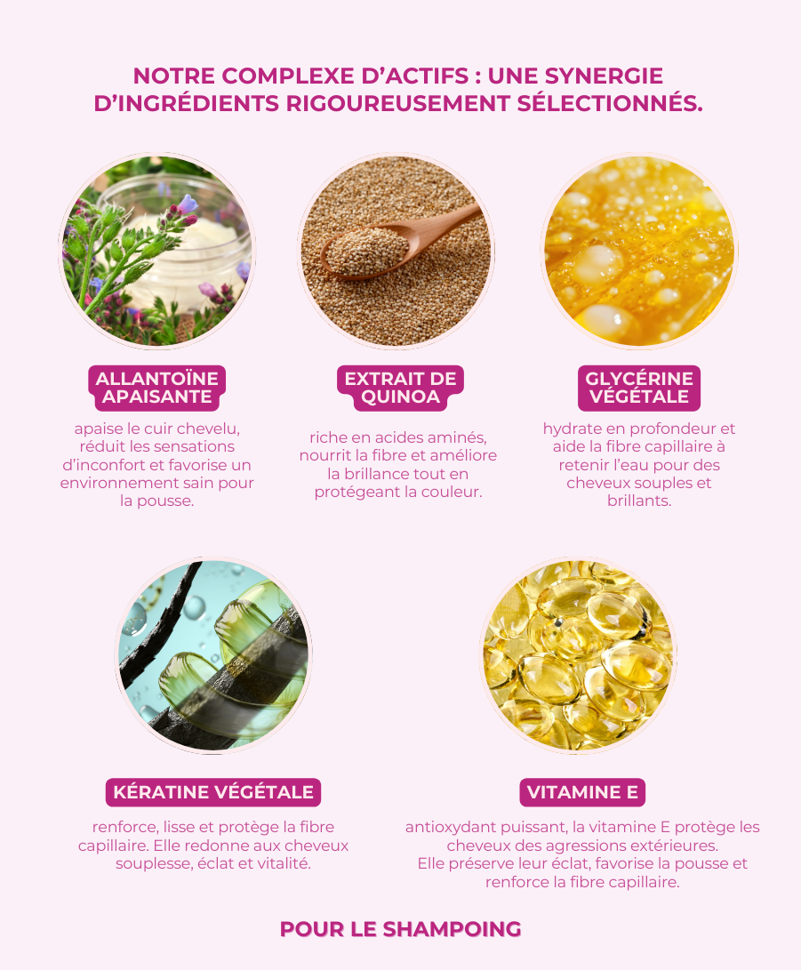 La Citadelle - Trousse de voyage